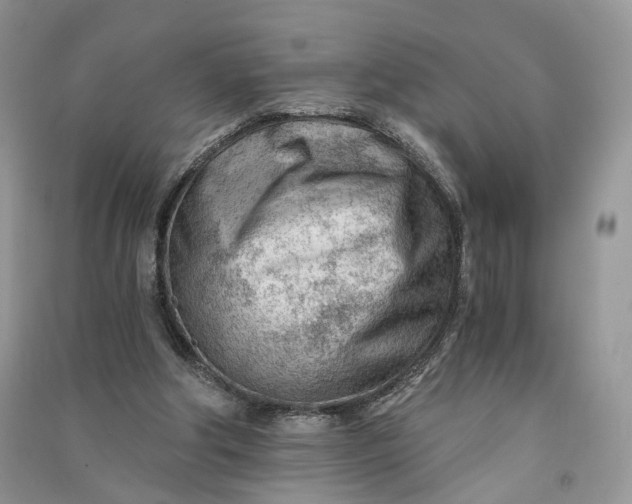 X0000090920202200708131440