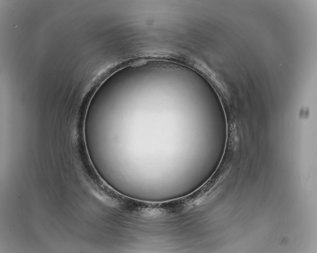 X0000090920203200708131440