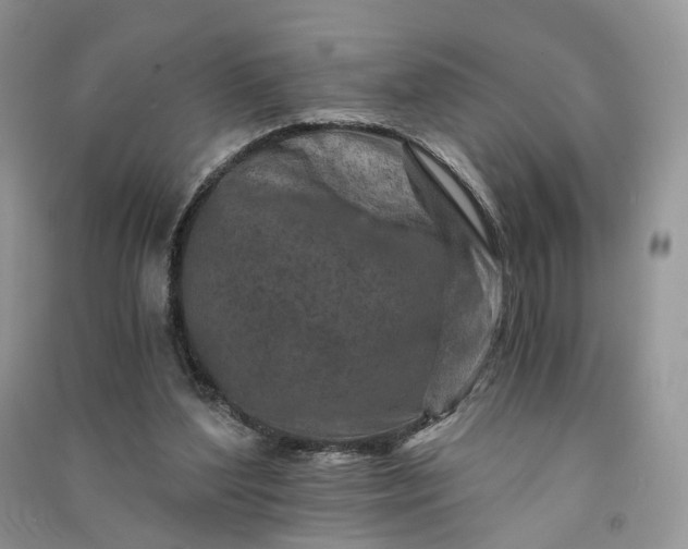 X0000090920204200708131440