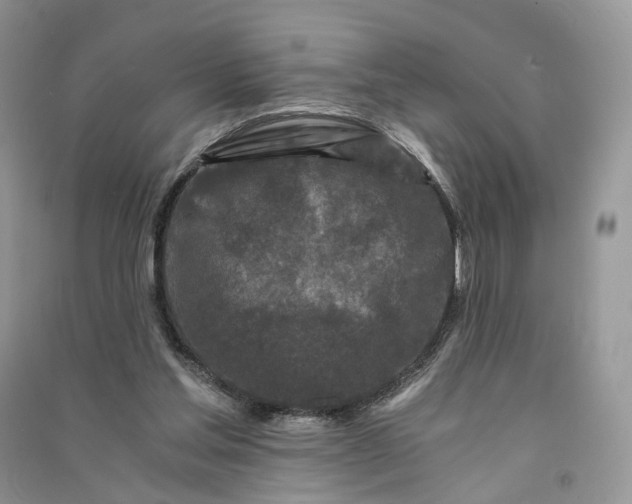 X0000090920205200708131440