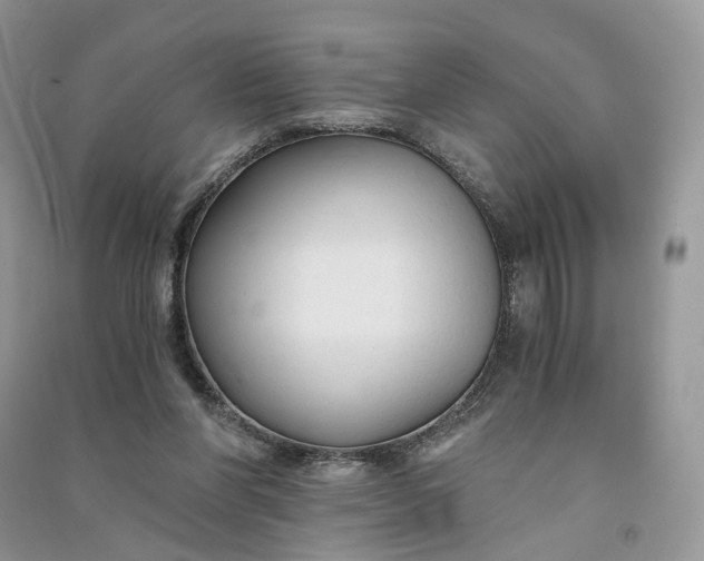 X0000090920206200708131440