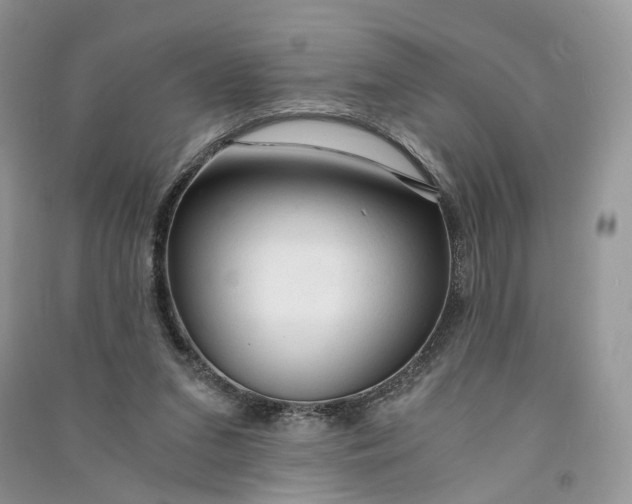 X0000090920207200708131440