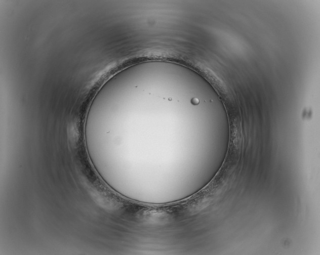 X0000090920208200708131440