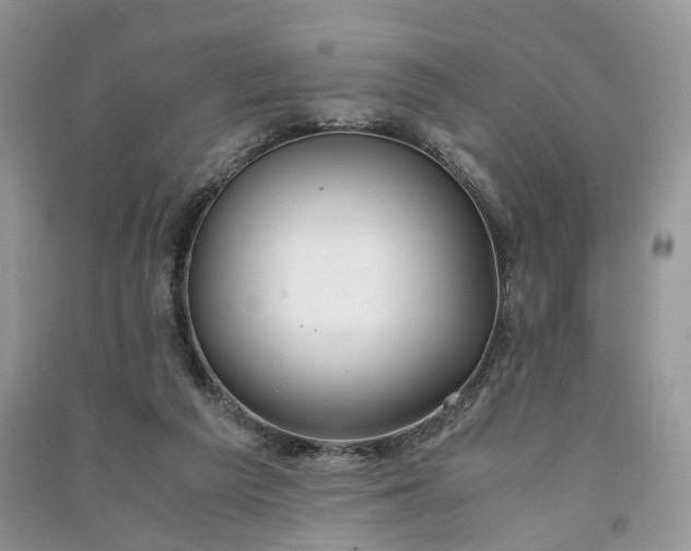 X0000090920209200708131440