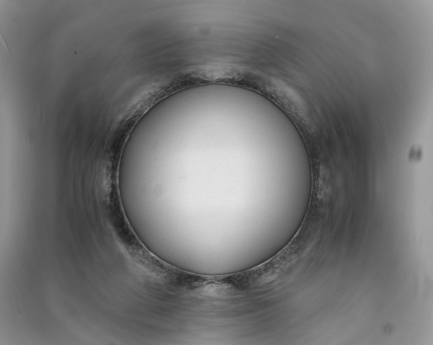 X0000090920210200708131440