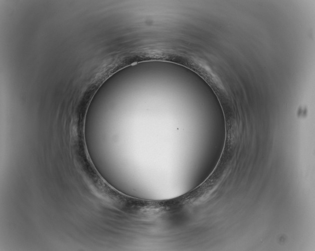 X0000090920213200708131440