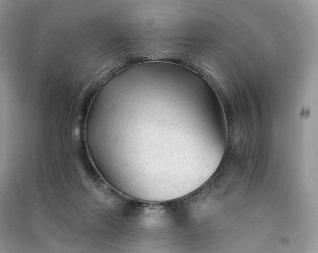 X0000090920214200708131440