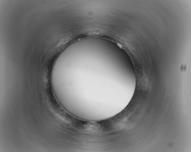 X0000090920215200708131440