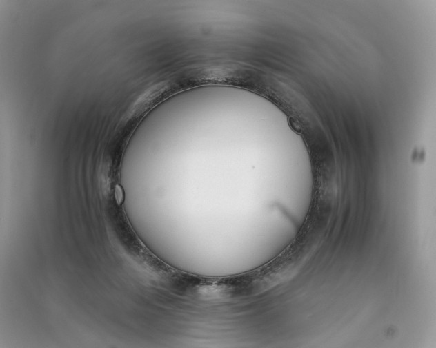 X0000090920216200708131440