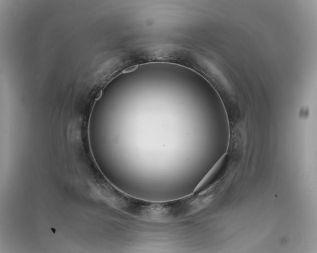 X0000090920217200708131440