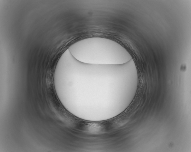 X0000090920218200708131440