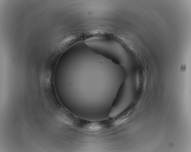 X0000090920219200708131440