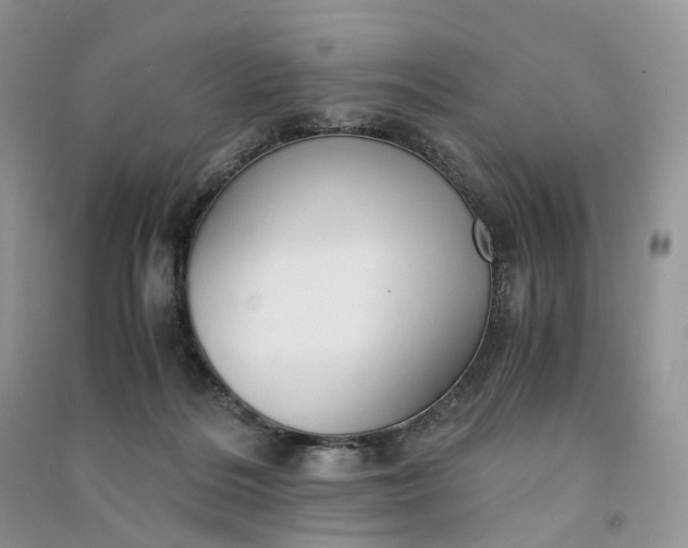 X0000090920220200708131440