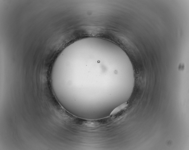 X0000090920221200708131439