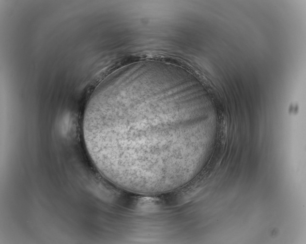 X0000090920222200708131439