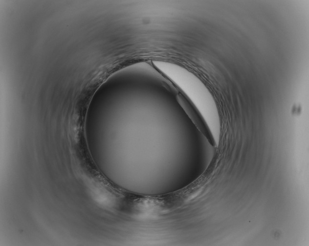 X0000090920223200708131439