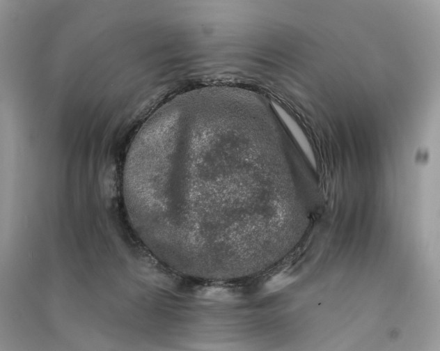 X0000090920224200708131439