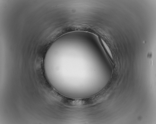 X0000090920225200708131439