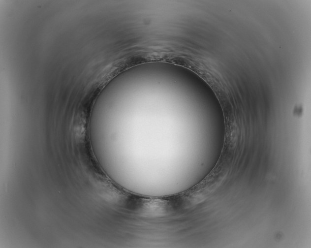 X0000090920226200708131439