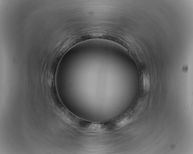 X0000090920227200708131439