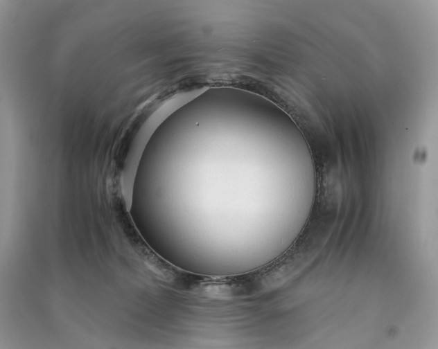 X0000090920228200708131439