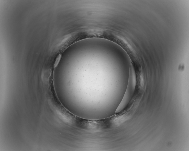 X0000090920229200708131439