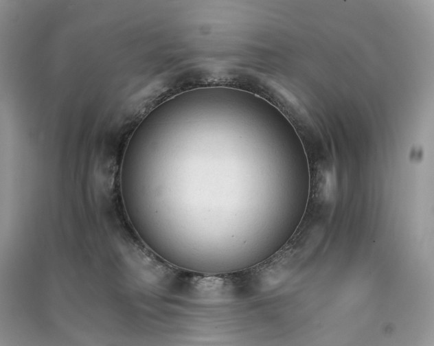 X0000090920230200708131439