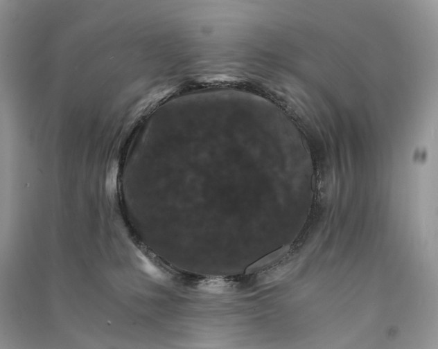 X0000090920231200708131439