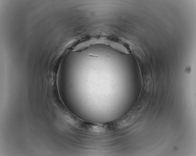 X0000090920232200708131439