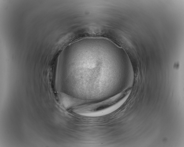 X0000090920233200708131439