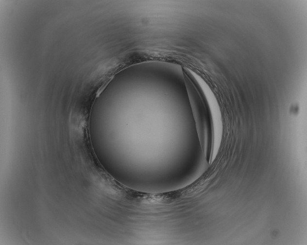 X0000090920235200708131439