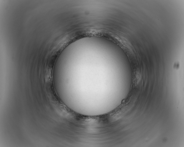 X0000090920236200708131439