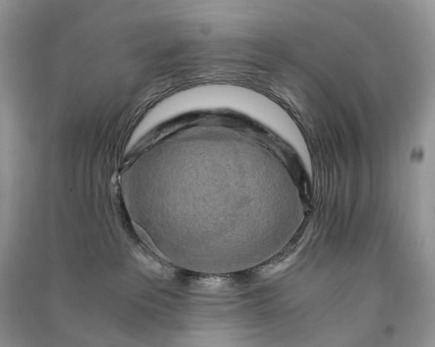 X0000090920237200708131439