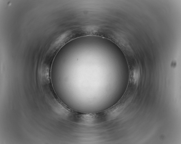 X0000090920238200708131439