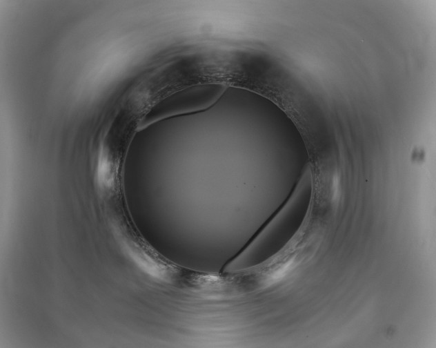 X0000090920239200708131439