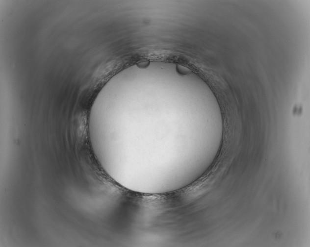 X0000090920240200708131439