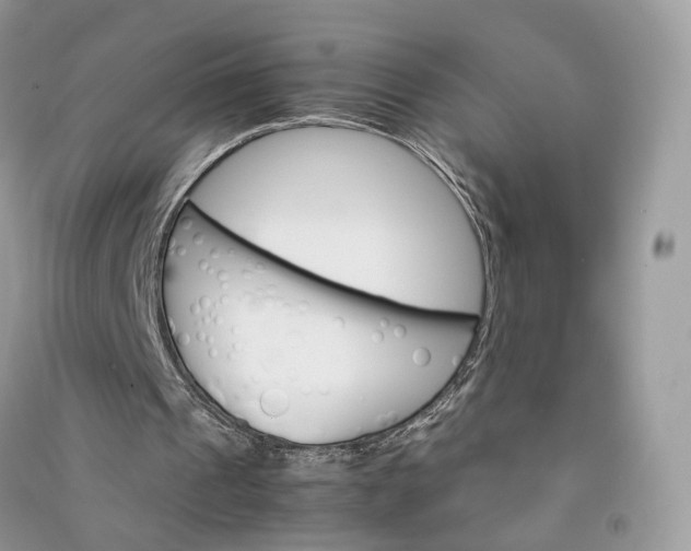 X0000090920241200708131439