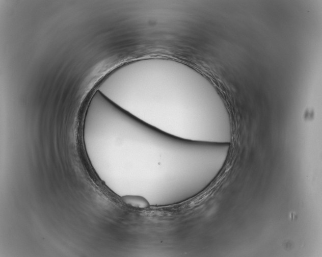 X0000090920242200708131439