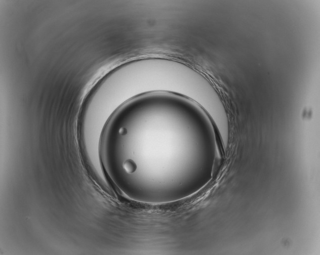 X0000090920244200708131439