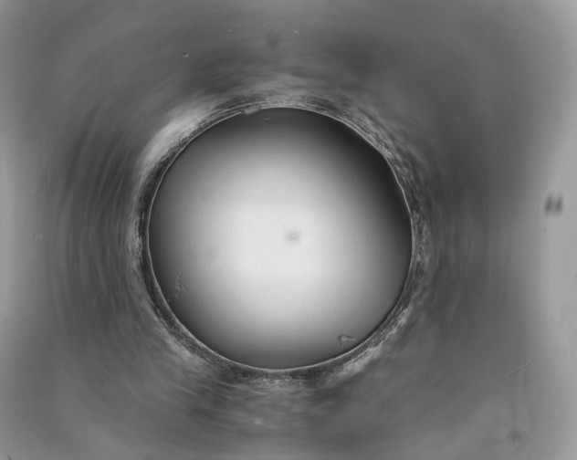 X0000090920245200708131439