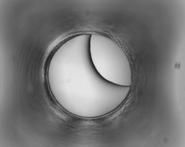 X0000090920246200708131439