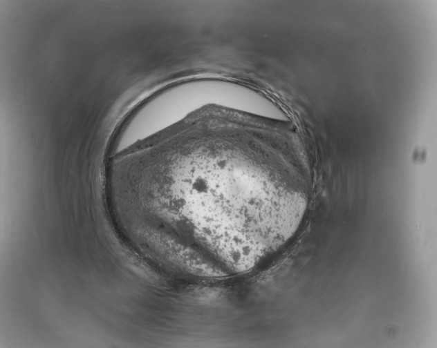 X0000090920247200708131439