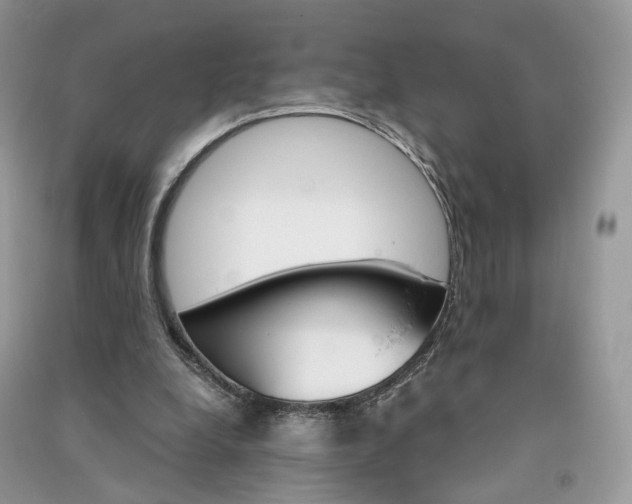 X0000090920248200708131439