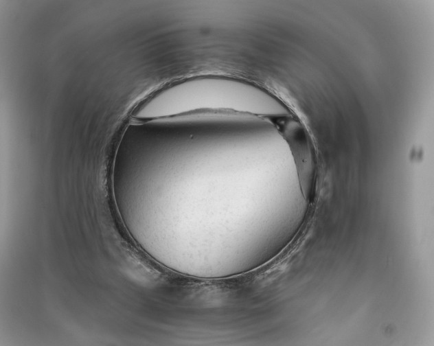 X0000090920249200708131439