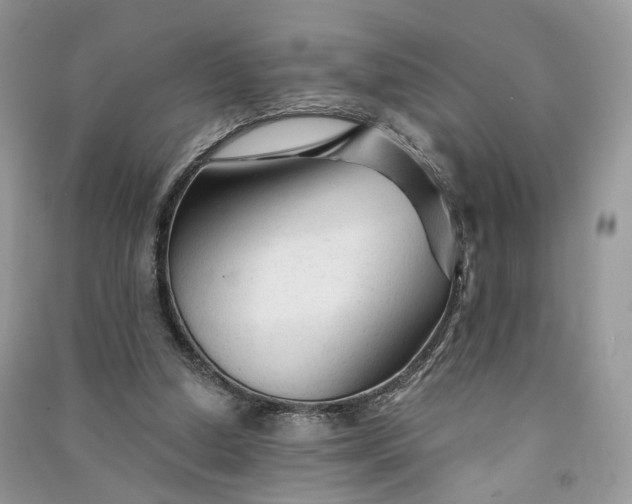 X0000090920250200708131439