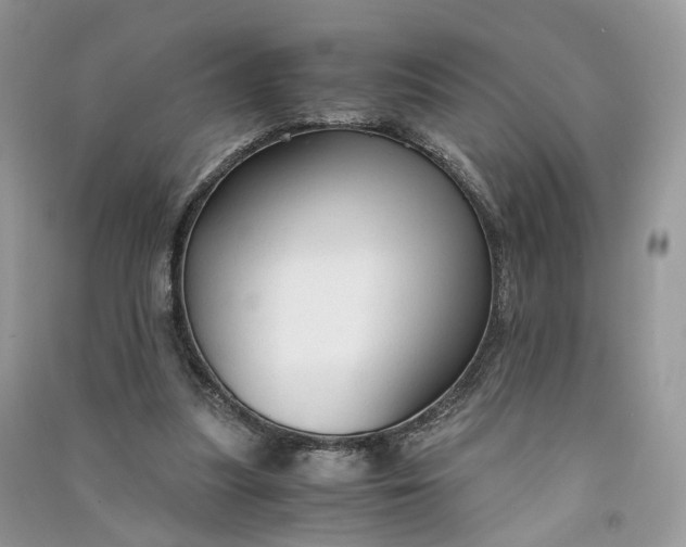 X0000090920251200708131439