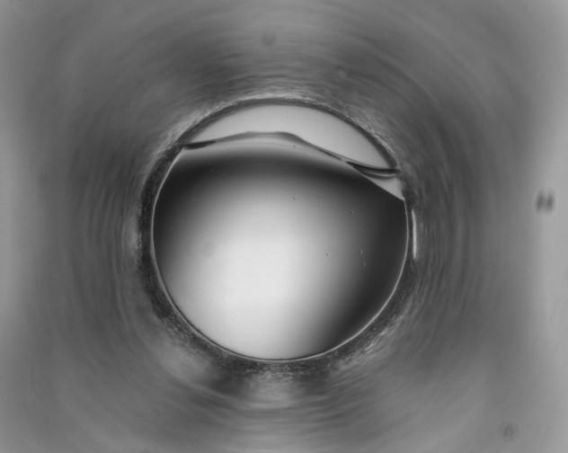 X0000090920252200708131439