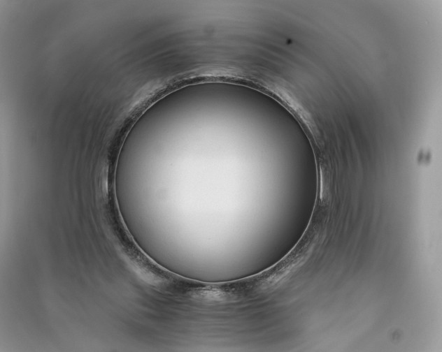 X0000090920253200708131439