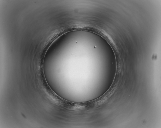 X0000090920257200708131439