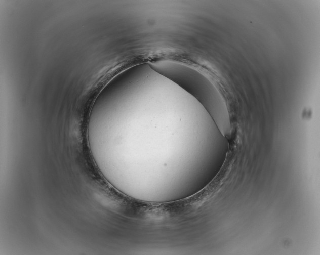 X0000090920258200708131439